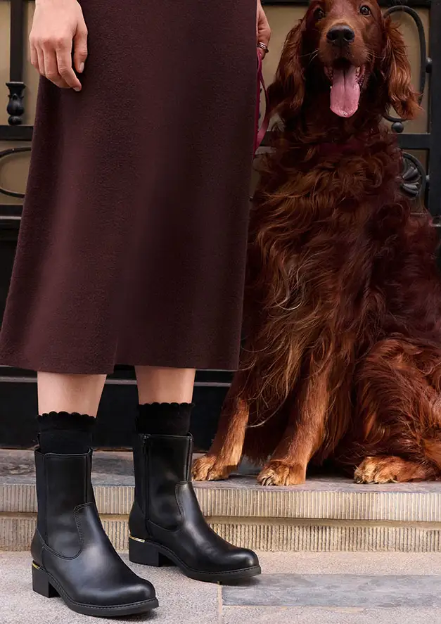 Robe marron, chaussettes noires et bottines noires chics avec un talon doré.