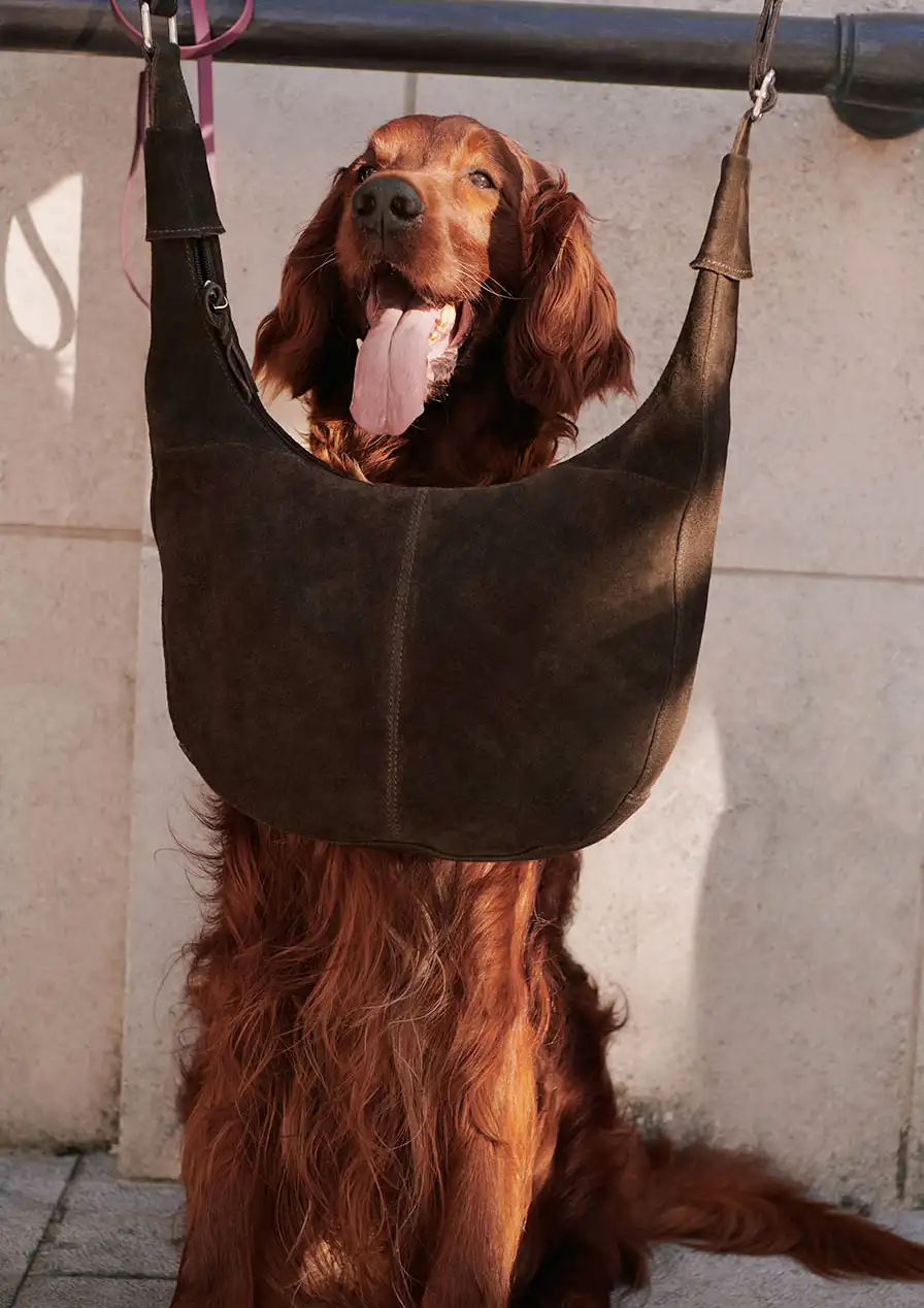 Un sac en daim marron élégant.